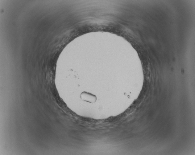 X0000067521061200605051849