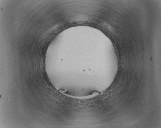 X0000067521062200605051849