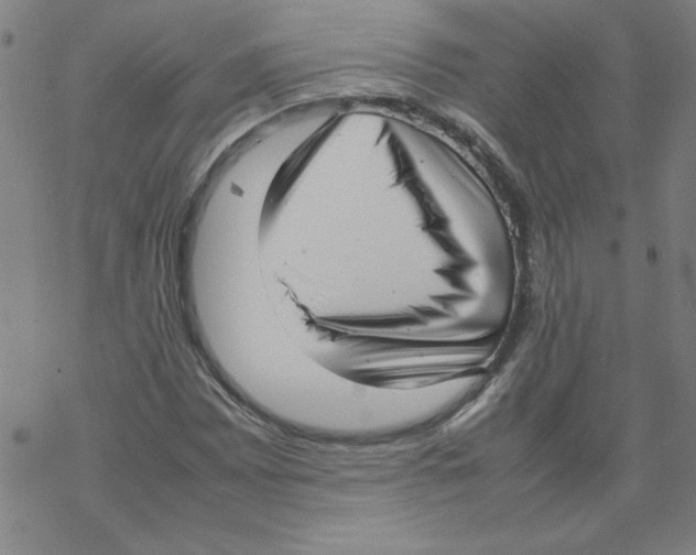 X0000067521065200605051849