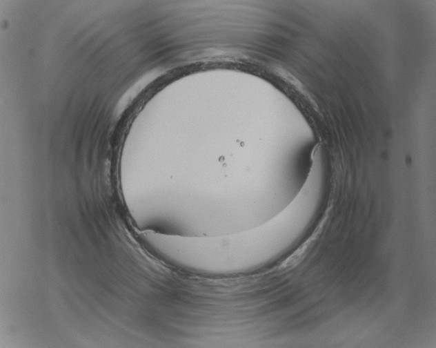 X0000067521066200605051849