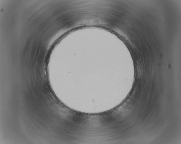 X0000067521070200605051849