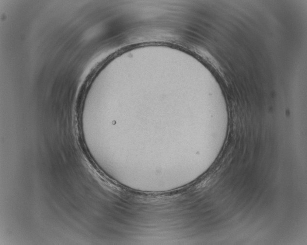 X0000067521072200605051849