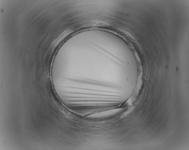 X0000067521073200605051848