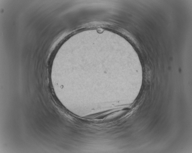 X0000067521075200605051848