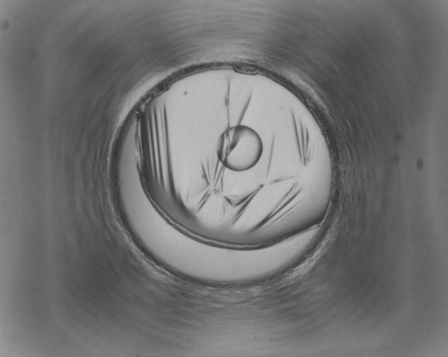 X0000067521077200605051848