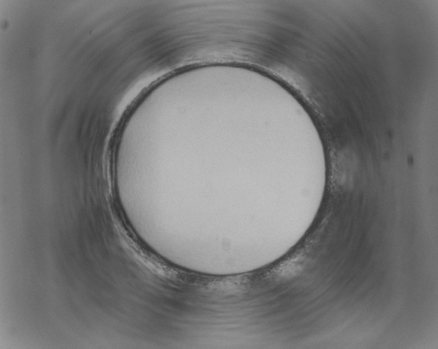 X0000067521078200605051848