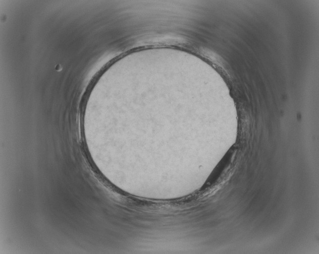 X0000067521079200605051848