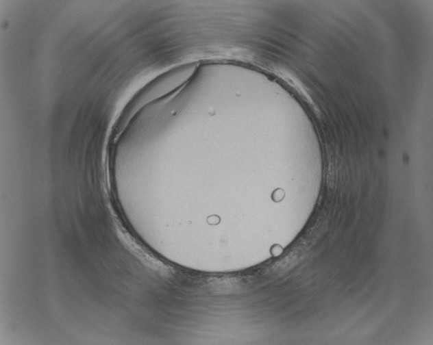 X0000067521080200605051848