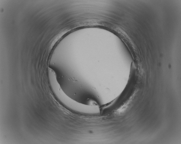 X0000067521081200605051848