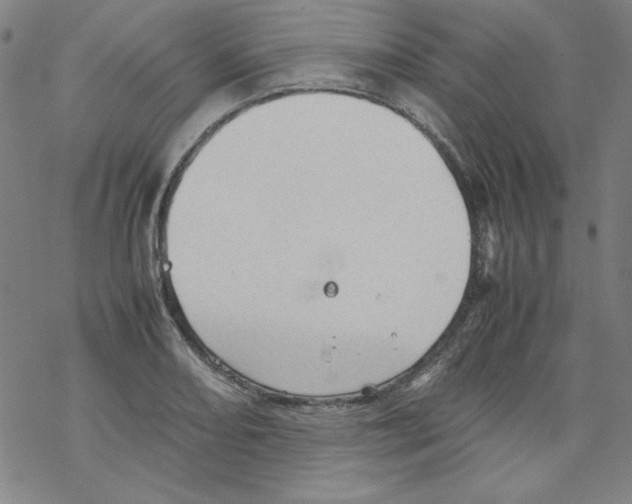 X0000067521082200605051848