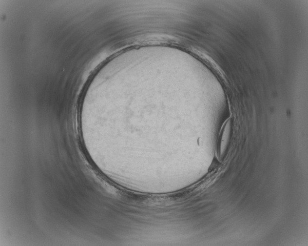 X0000067521083200605051848