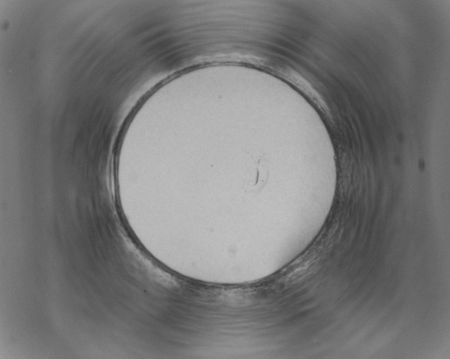 X0000067521084200605051848