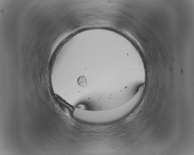 X0000067521085200605051848