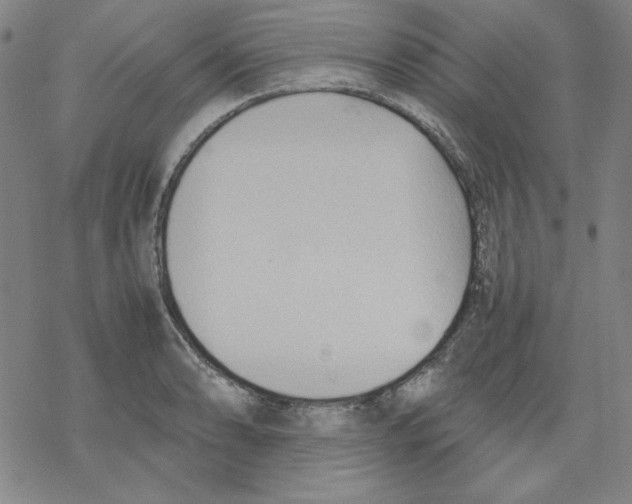 X0000067521086200605051848