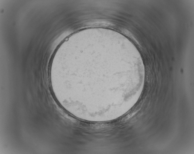 X0000067521087200605051848