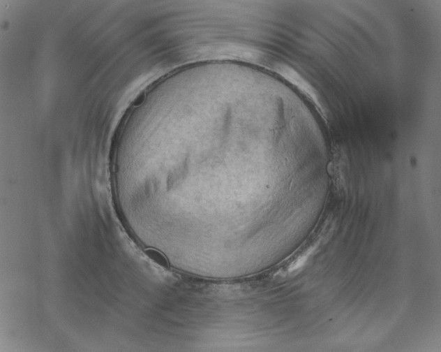 X0000067521088200605051848