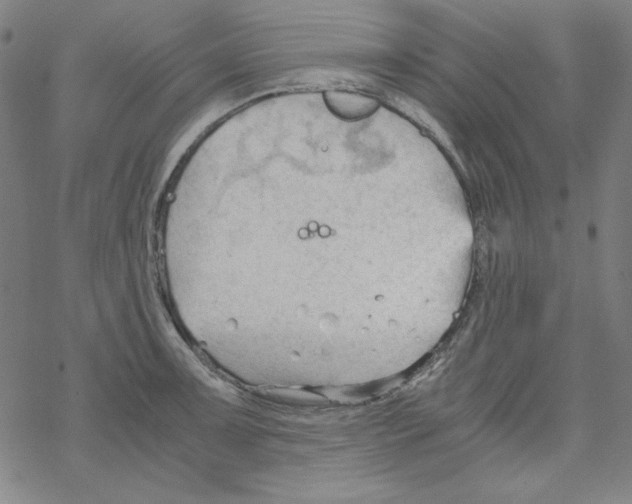 X0000067521091200605051848