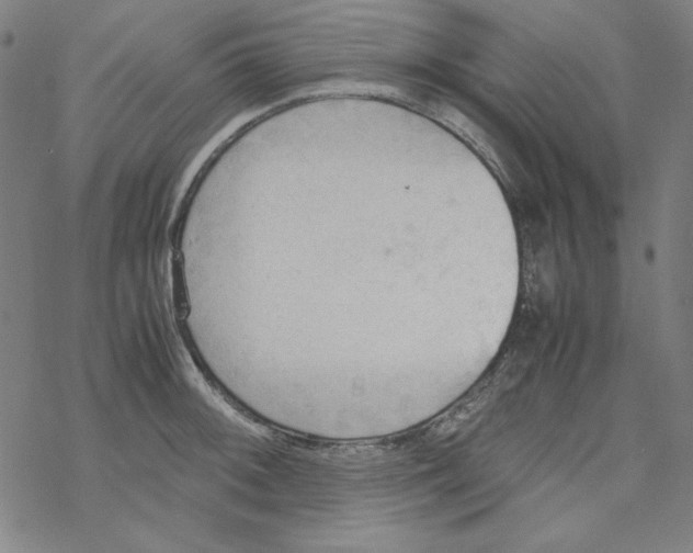 X0000067521092200605051848