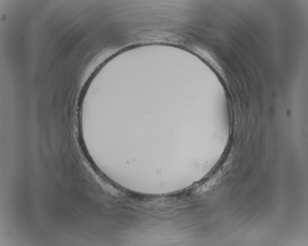 X0000067521093200605051848