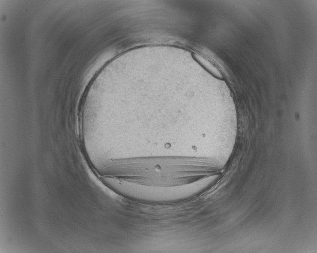 X0000067521095200605051848