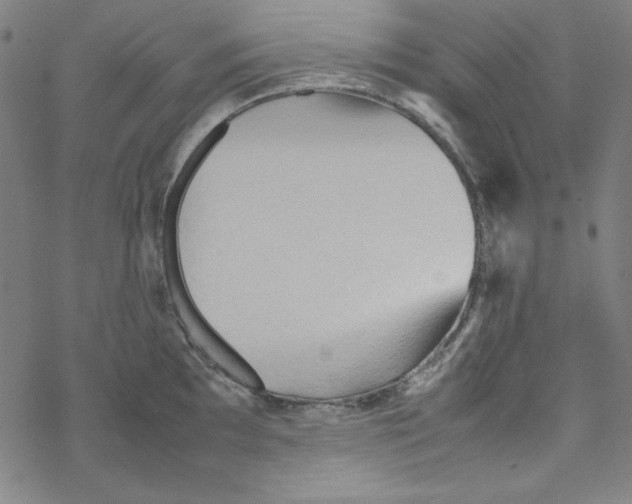 X0000067521097200605051848