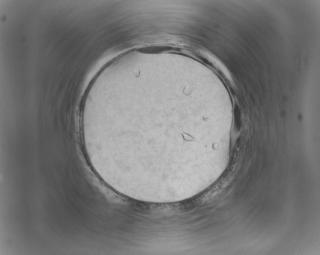 X0000067521099200605051848