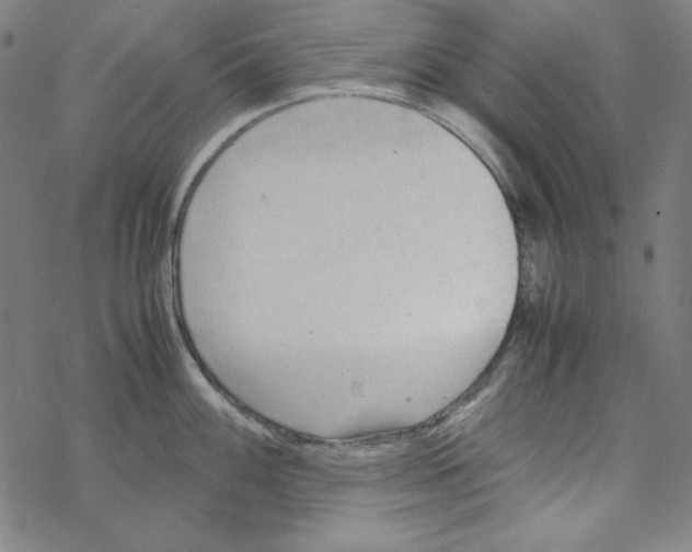 X0000067521100200605051848