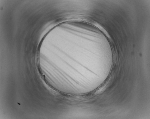 X0000067521101200605051848