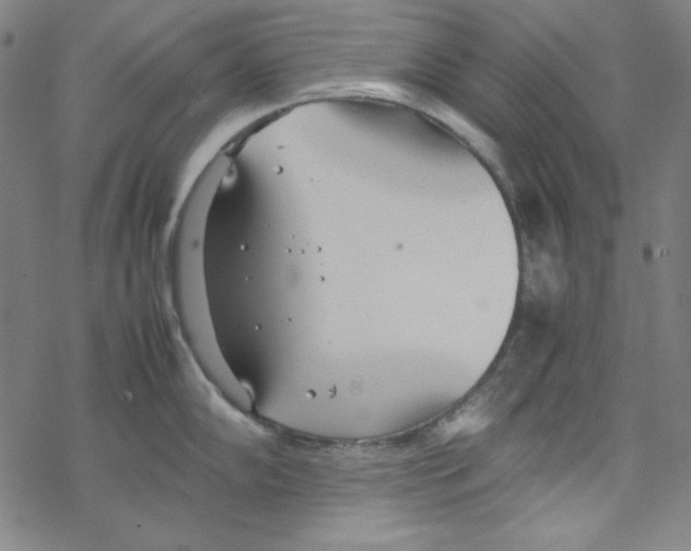 X0000067521102200605051848