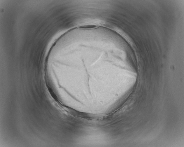 X0000067521104200605051848