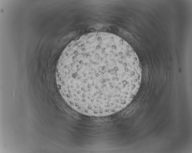 X0000067521105200605051847