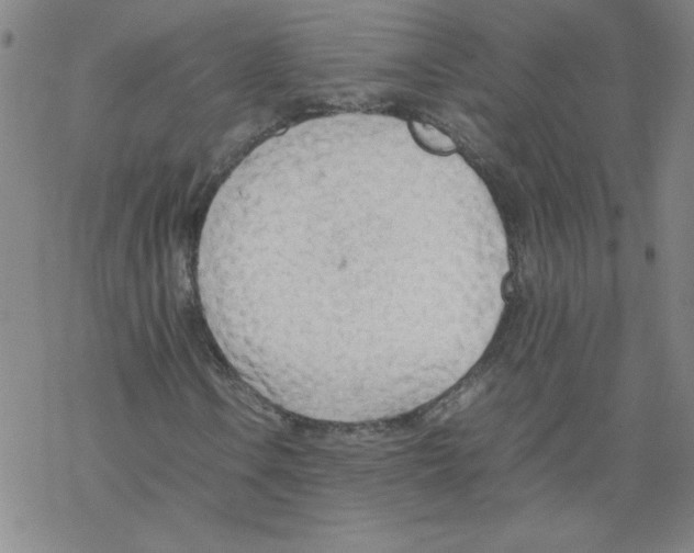 X0000067521106200605051847