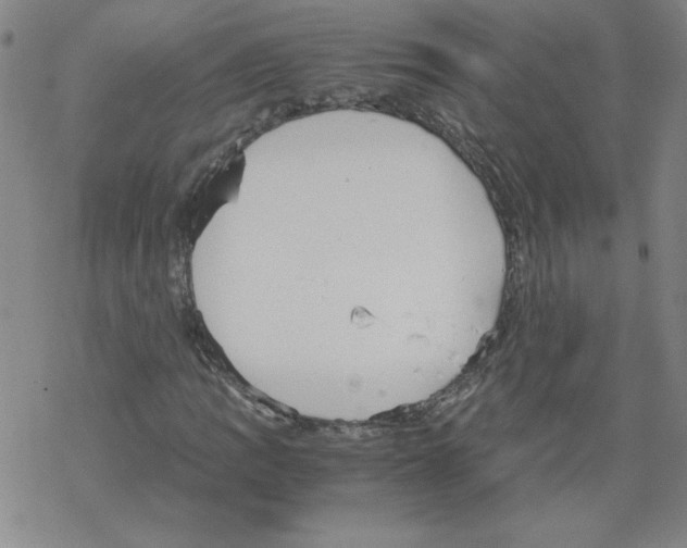 X0000067521109200605051847