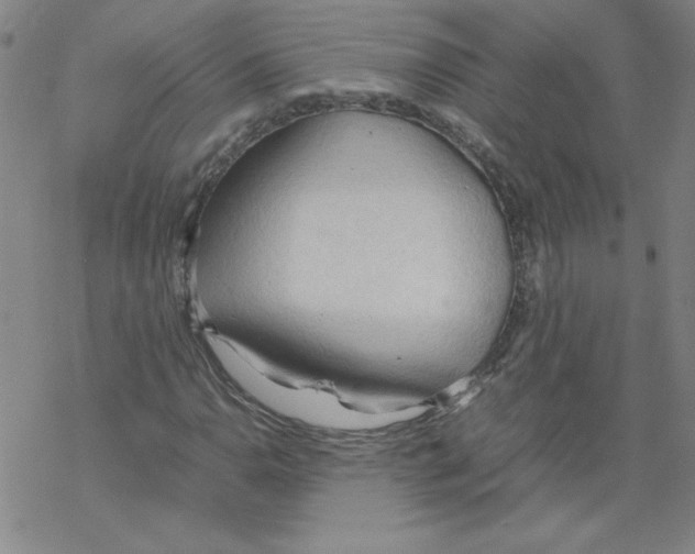 X0000067521110200605051847