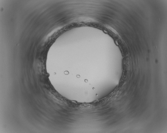 X0000067521112200605051847