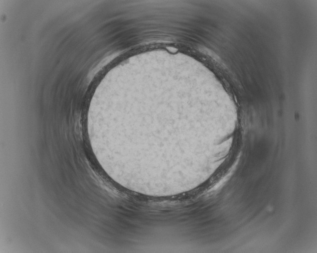 X0000067521113200605051847