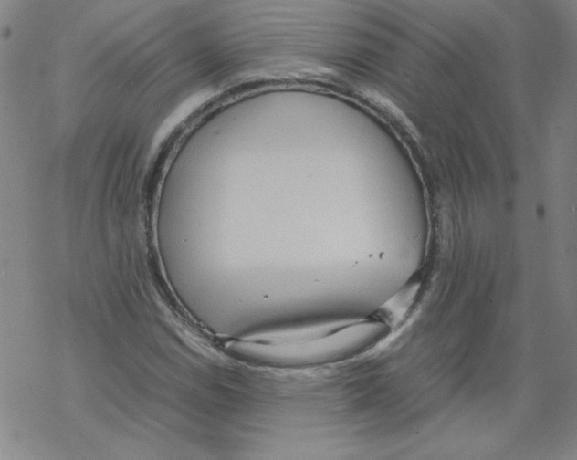 X0000067521114200605051847