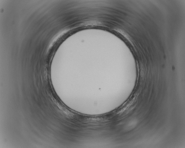 X0000067521115200605051847