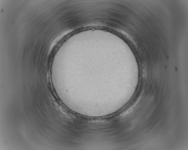 X0000067521117200605051847