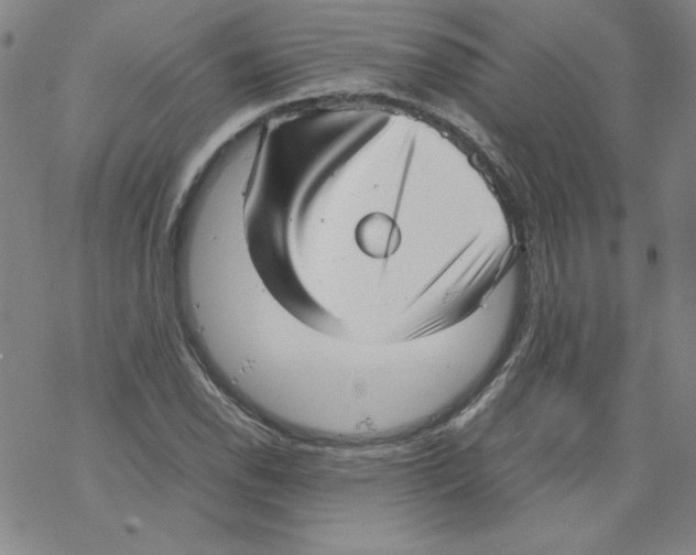 X0000067521118200605051847