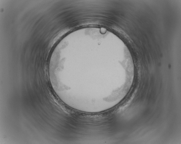 X0000067521121200605051847