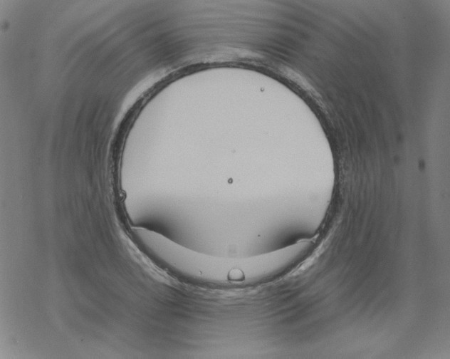 X0000067521122200605051847