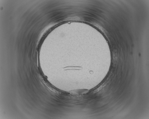 X0000067521123200605051848