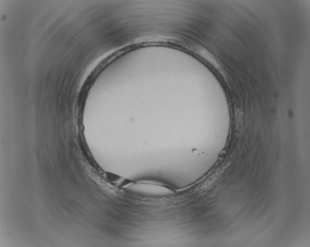 X0000067521124200605051848