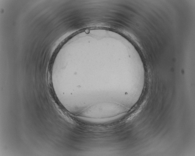 X0000067521125200605051848