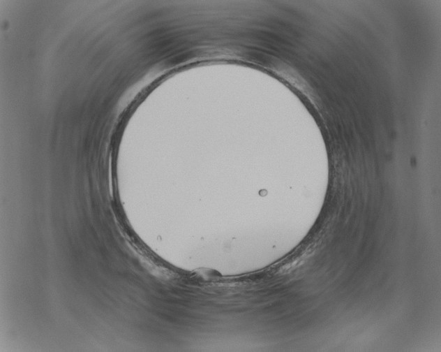 X0000067521127200605051848