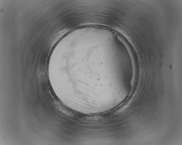 X0000067521129200605051848