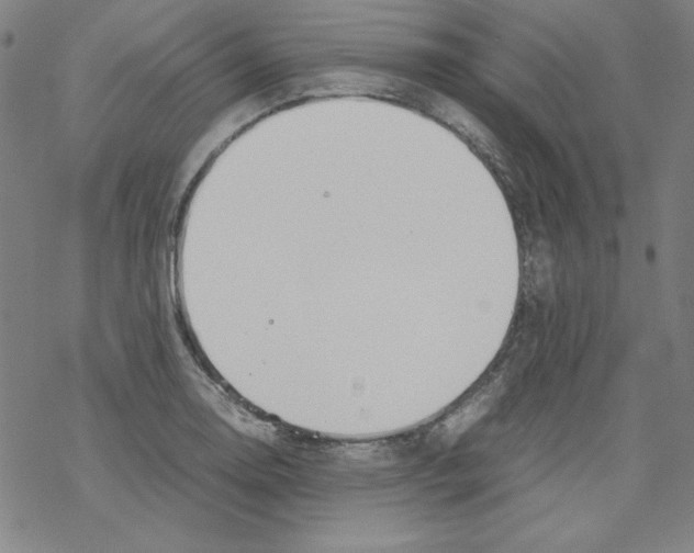 X0000067521130200605051848