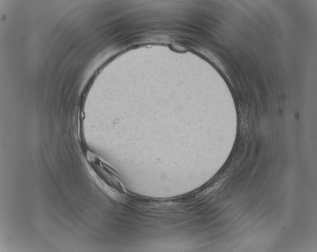 X0000067521131200605051848