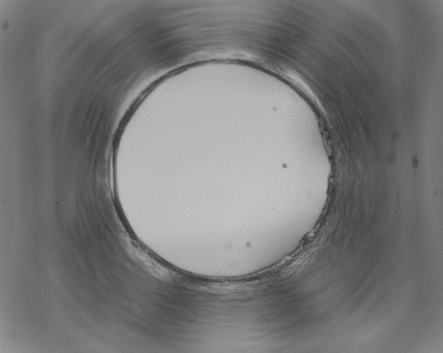 X0000067521132200605051848